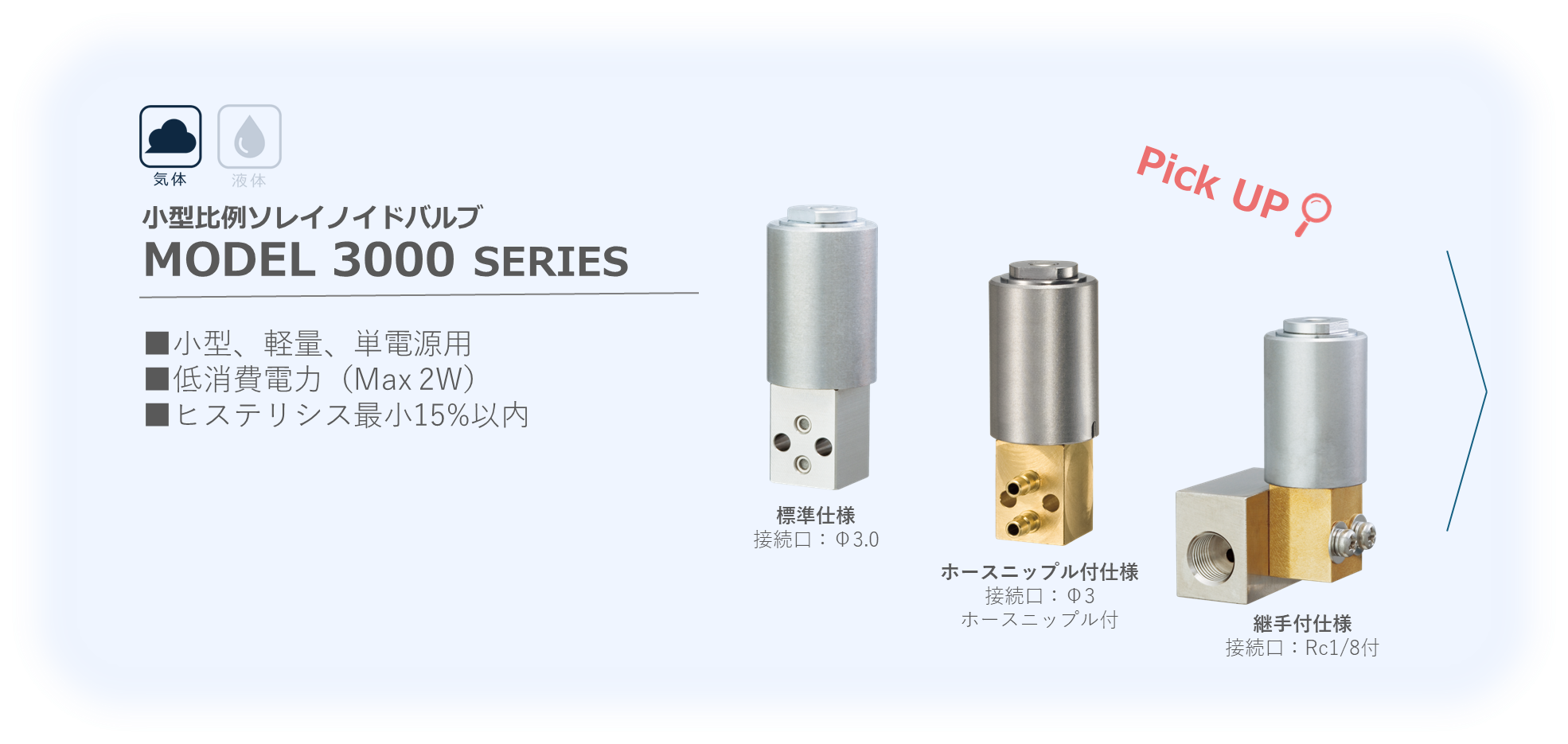 MODEL 3000 SERIES